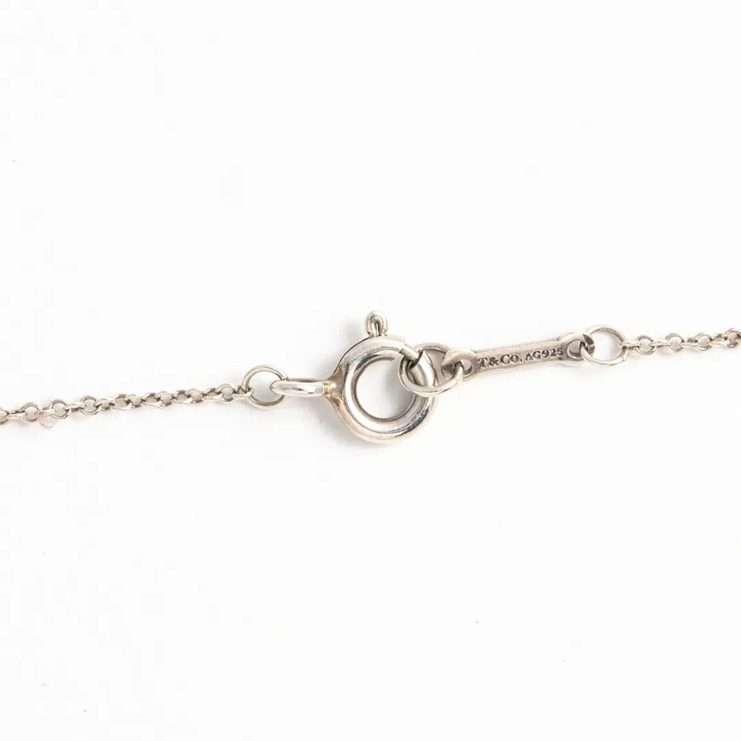 極美品✨️ Tiffany ティファニー ロゴ T&C スウィング ネックレス 極美品✨️ Tiffany ティファニー ロゴ T&C スウィング ネックレス